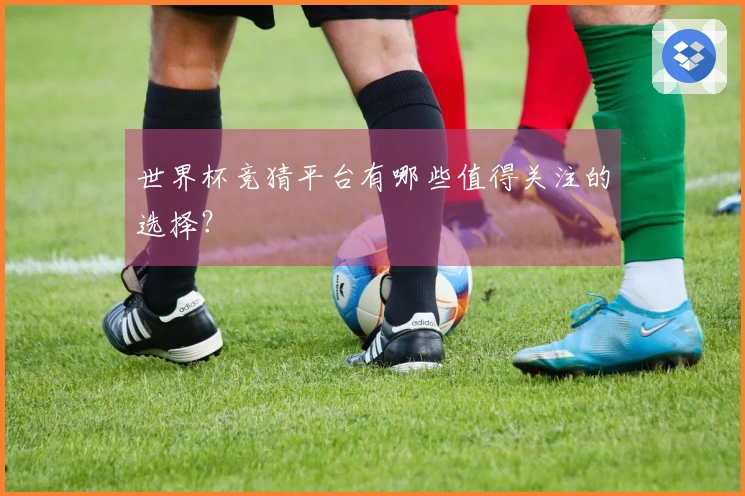 世界杯竞猜平台有哪些值得关注的选择？