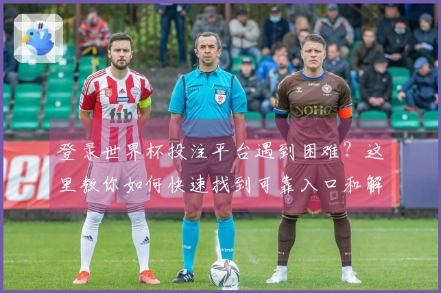 登录世界杯投注平台遇到困难？这里教你如何快速找到可靠入口和解决问题的方法